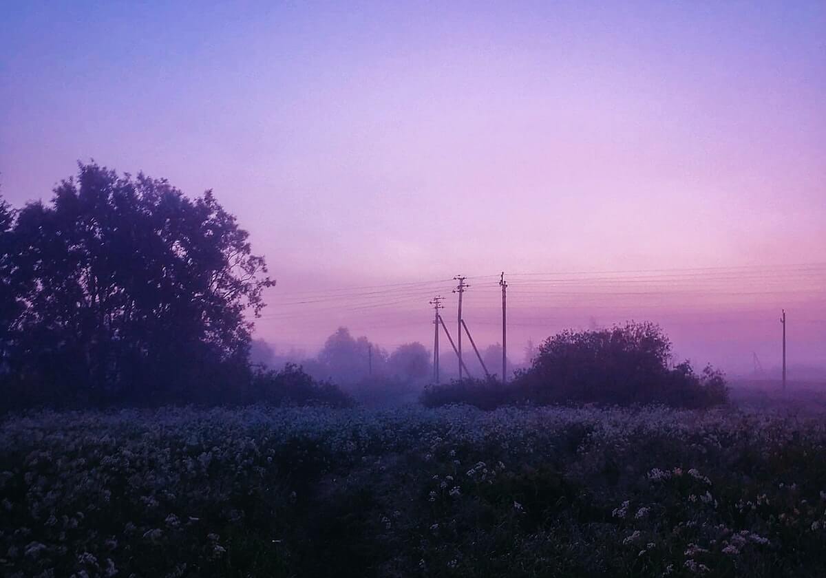 开云-前贵州恒丰旧将荣膺日联MVP 最佳阵容川崎包揽9人
